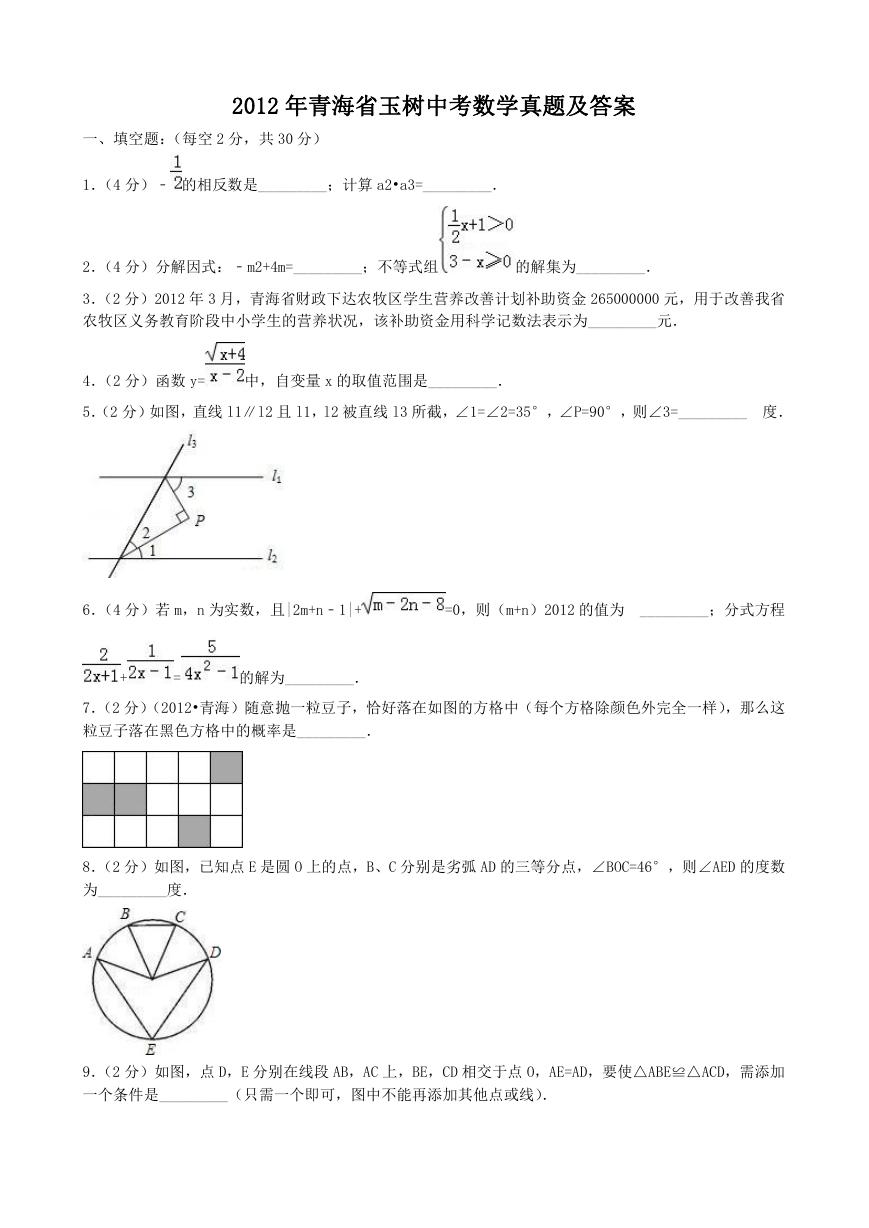 2012年青海省玉树中考数学真题及答案.doc