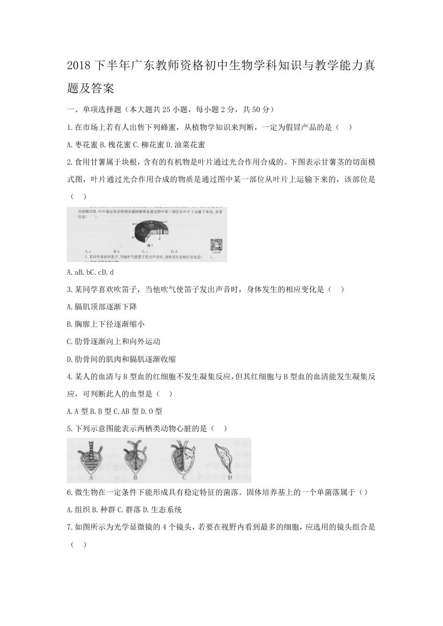 2018下半年广东教师资格初中生物学科知识与教学能力真题及答案.doc