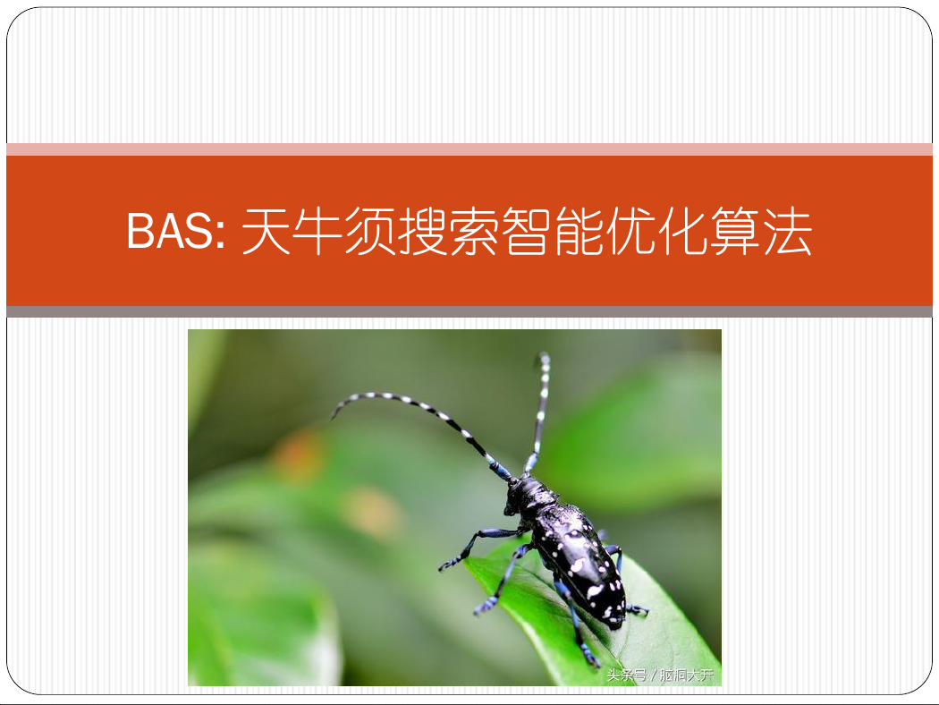 天牛须算法.pdf