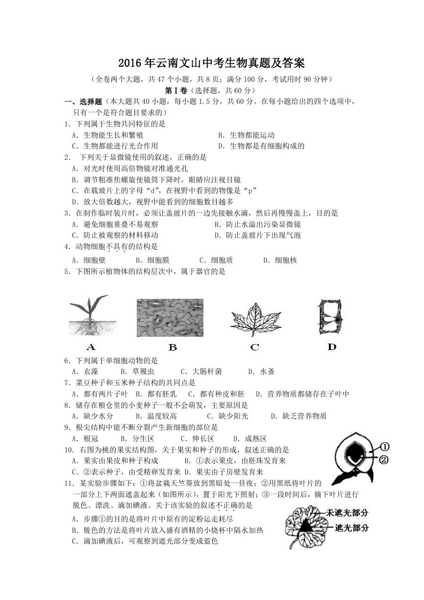 2016年云南文山中考生物真题及答案.doc