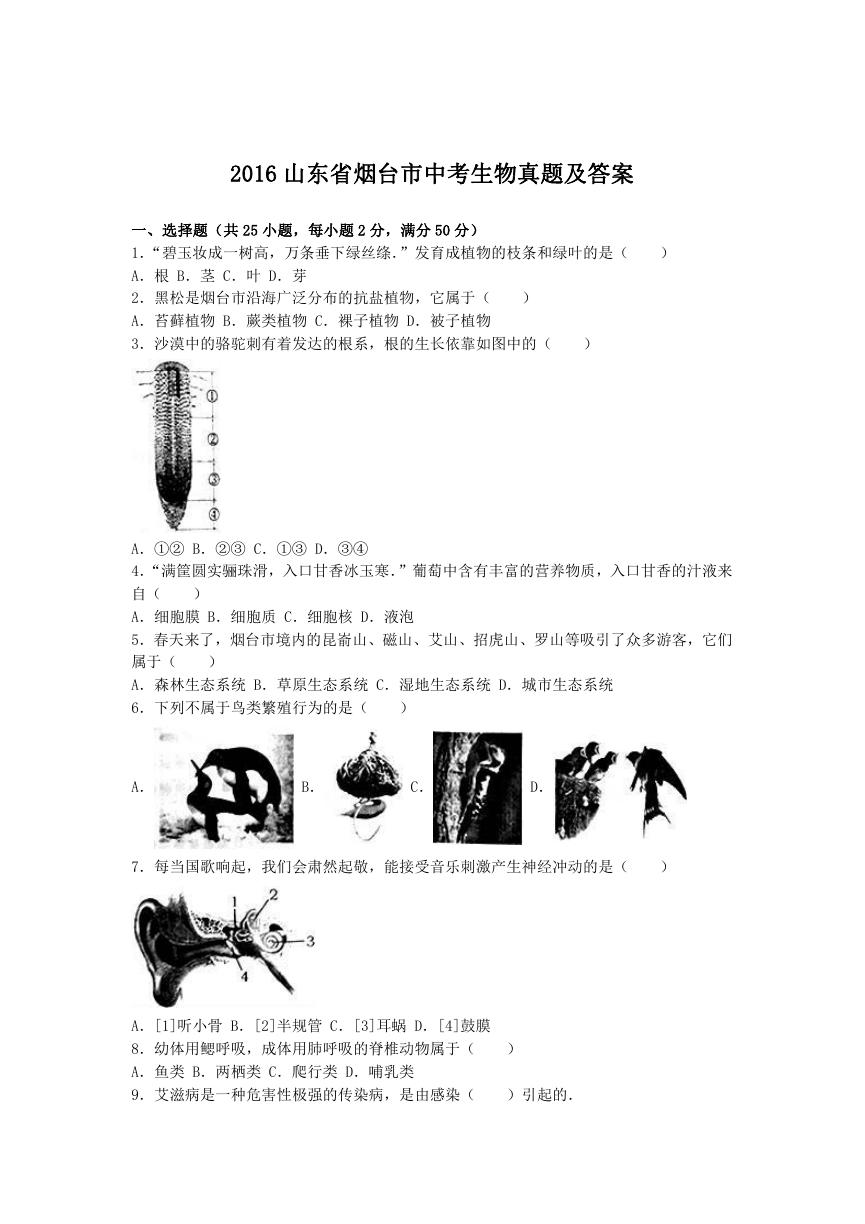 2016山东省烟台市中考生物真题及答案.doc