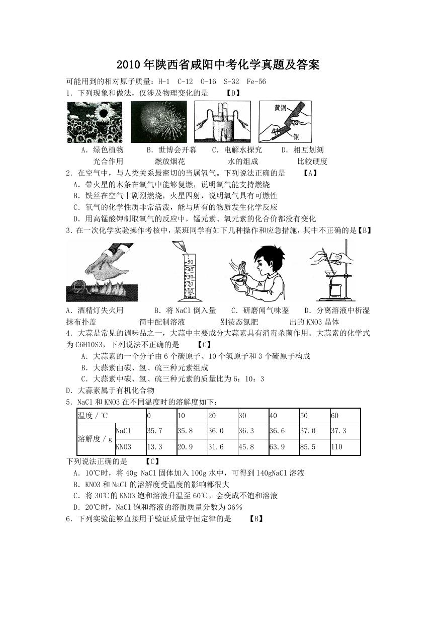 2010年陕西省咸阳中考化学真题及答案.doc