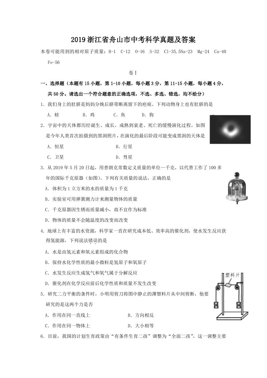 2019浙江省舟山市中考科学真题及答案.doc