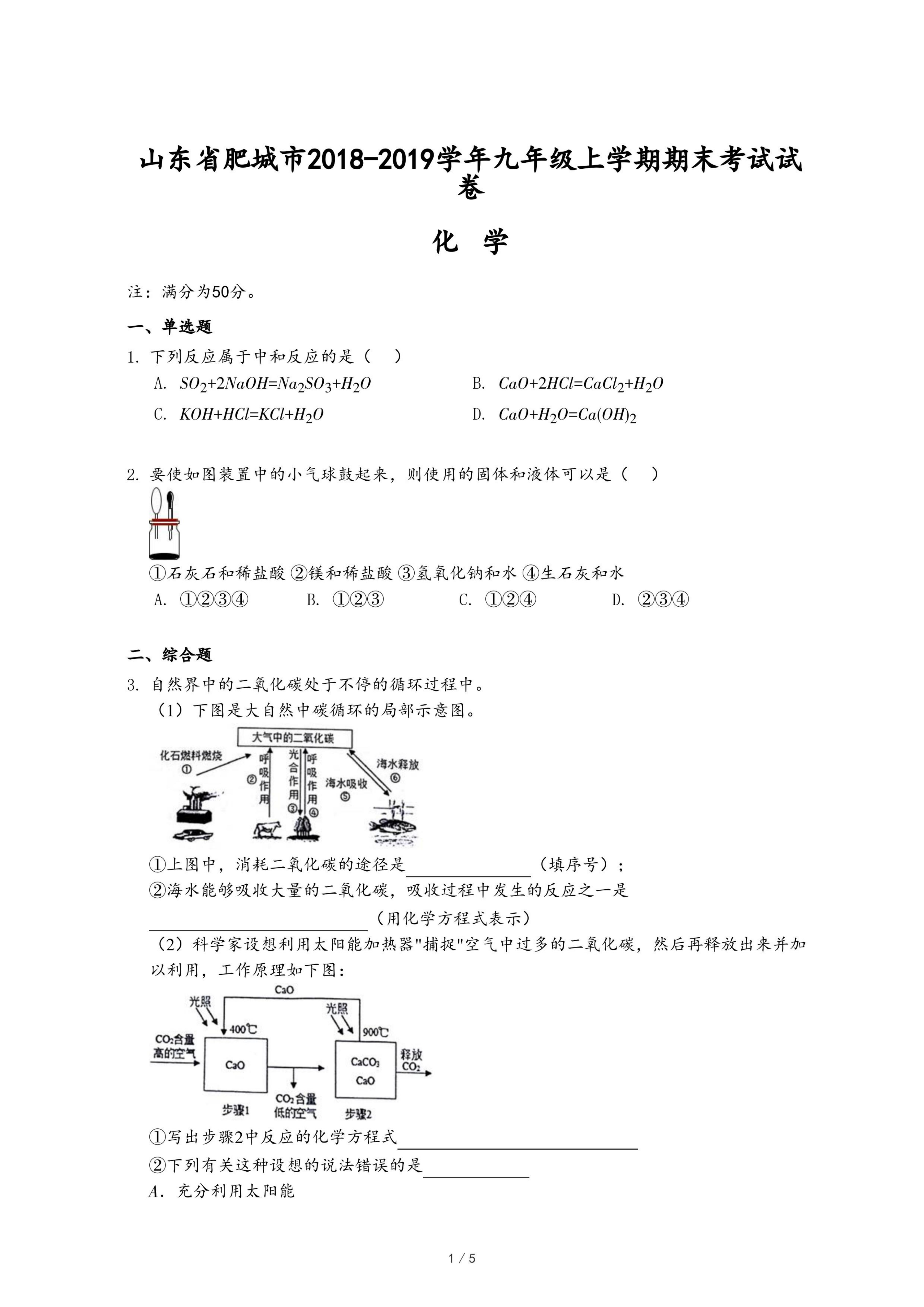 山东省肥城市2018-2019学年九年级上学期化学期末考试试卷.pdf