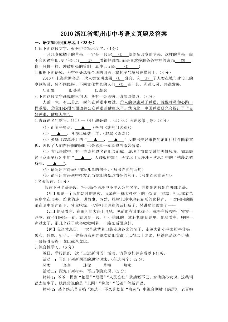 2010浙江省衢州市中考语文真题及答案.doc