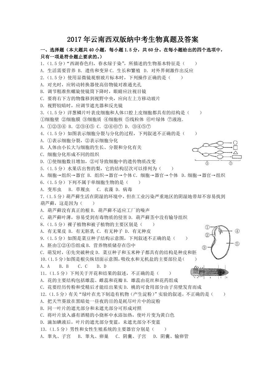 2017年云南西双版纳中考生物真题及答案.doc