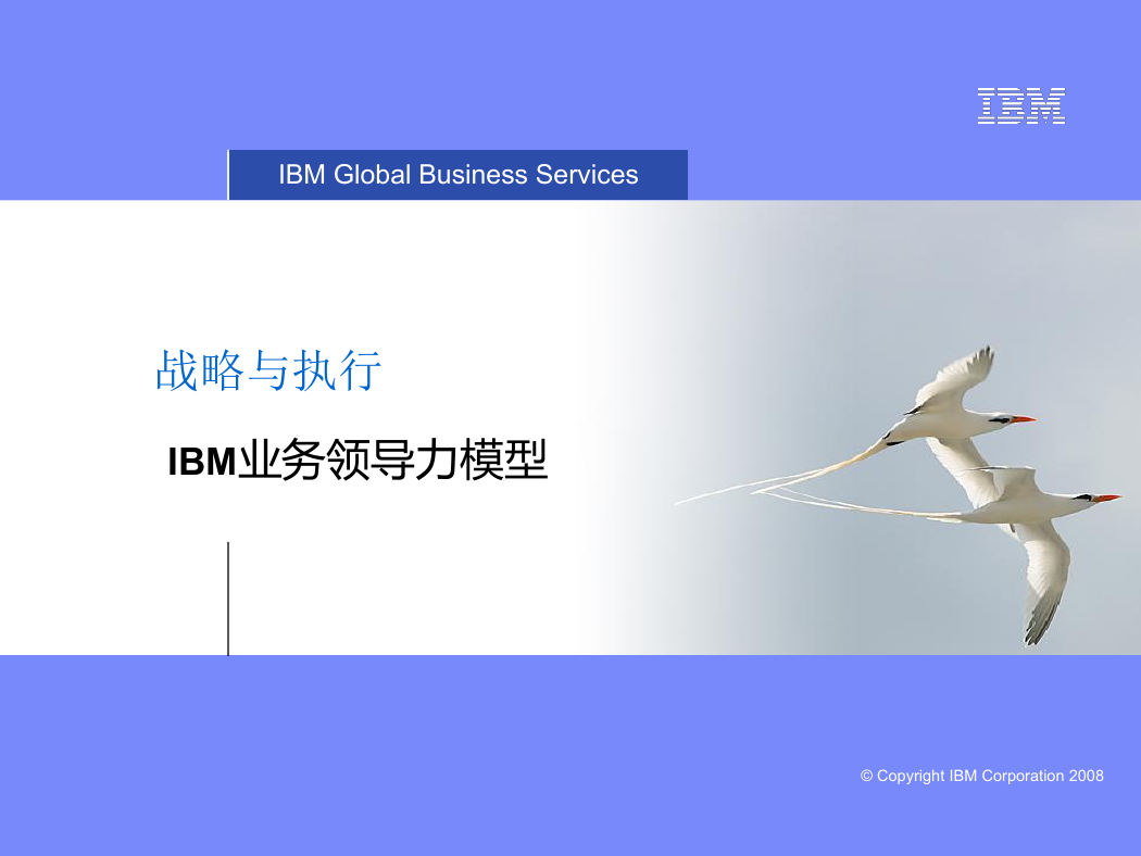 IBM BLM战略规划模型介绍.ppt