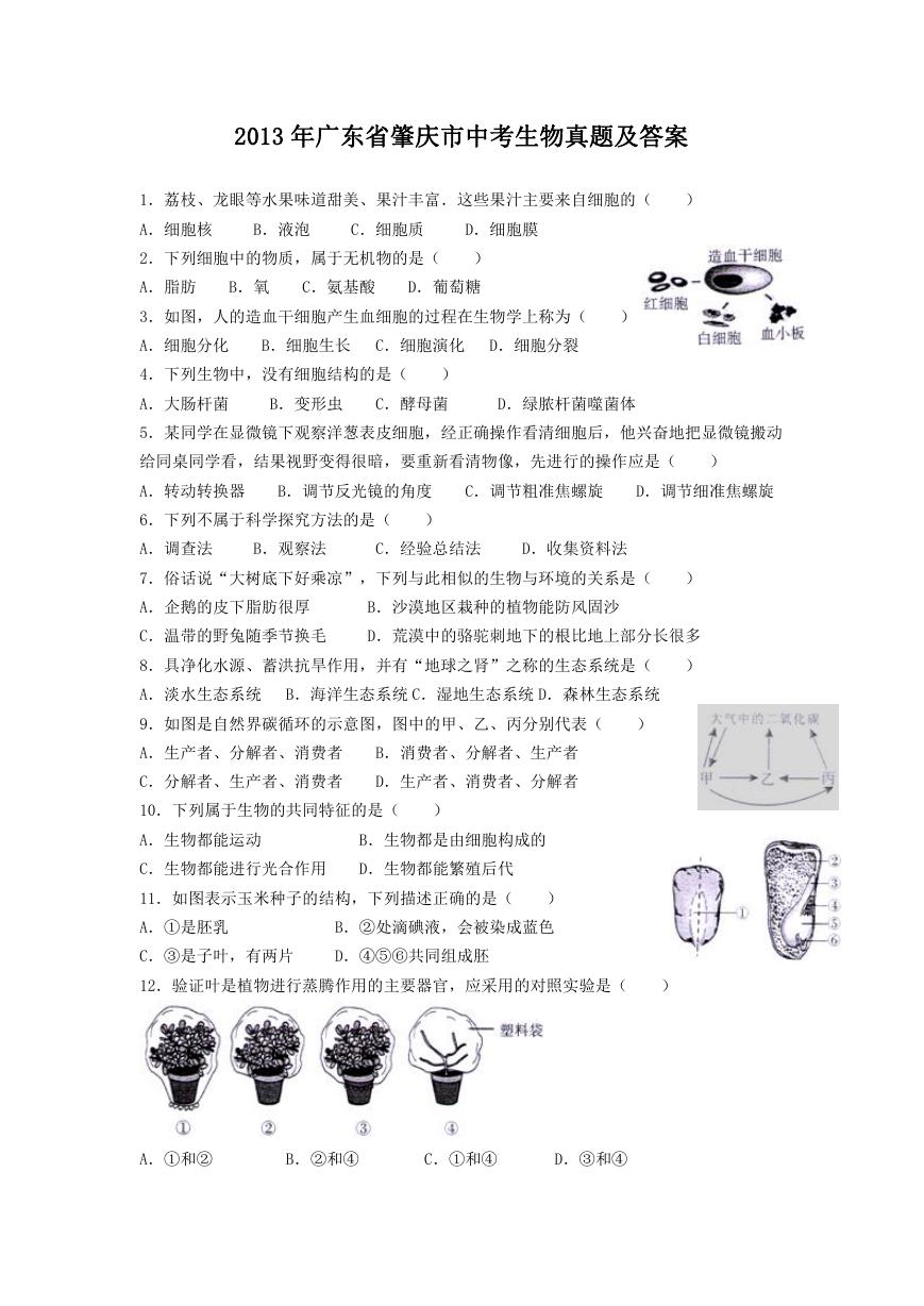 2013年广东省肇庆市中考生物真题及答案.doc