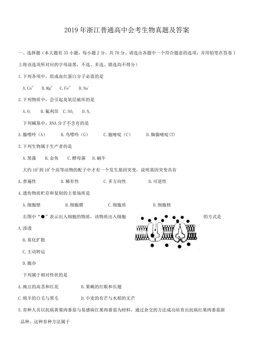 2019年浙江普通高中会考生物真题及答案.doc