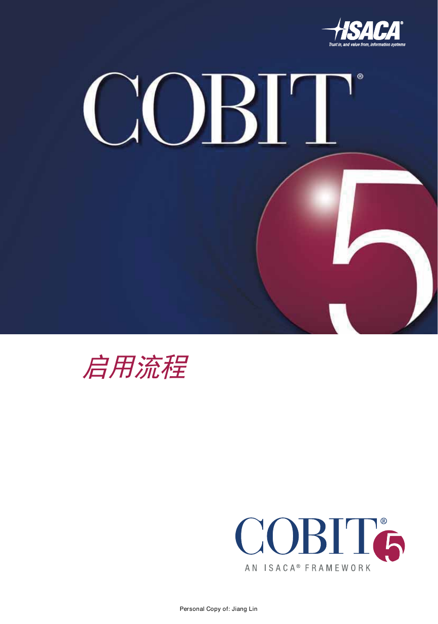 COBIT5-Enabling-中文.pdf