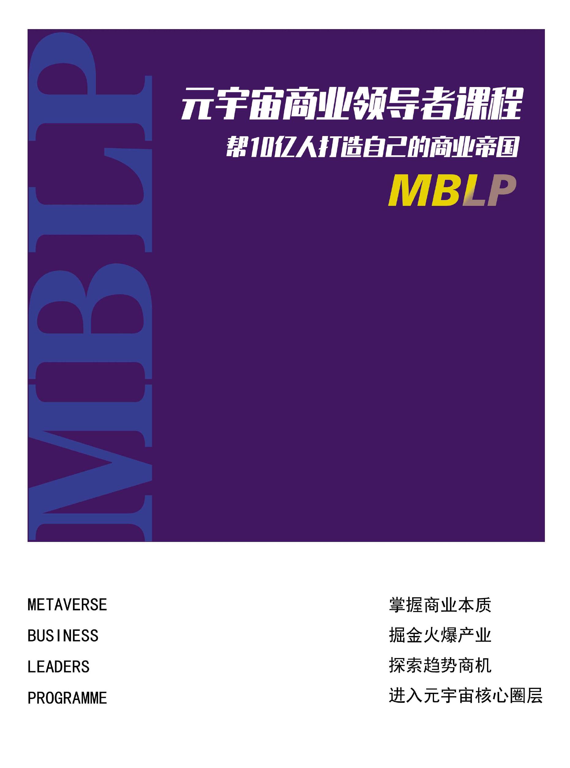 《元宇宙商业领导者课程MBLP》.pdf