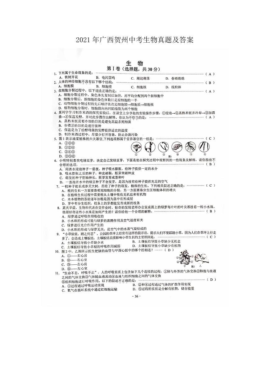 2021年广西贺州中考生物真题及答案.doc