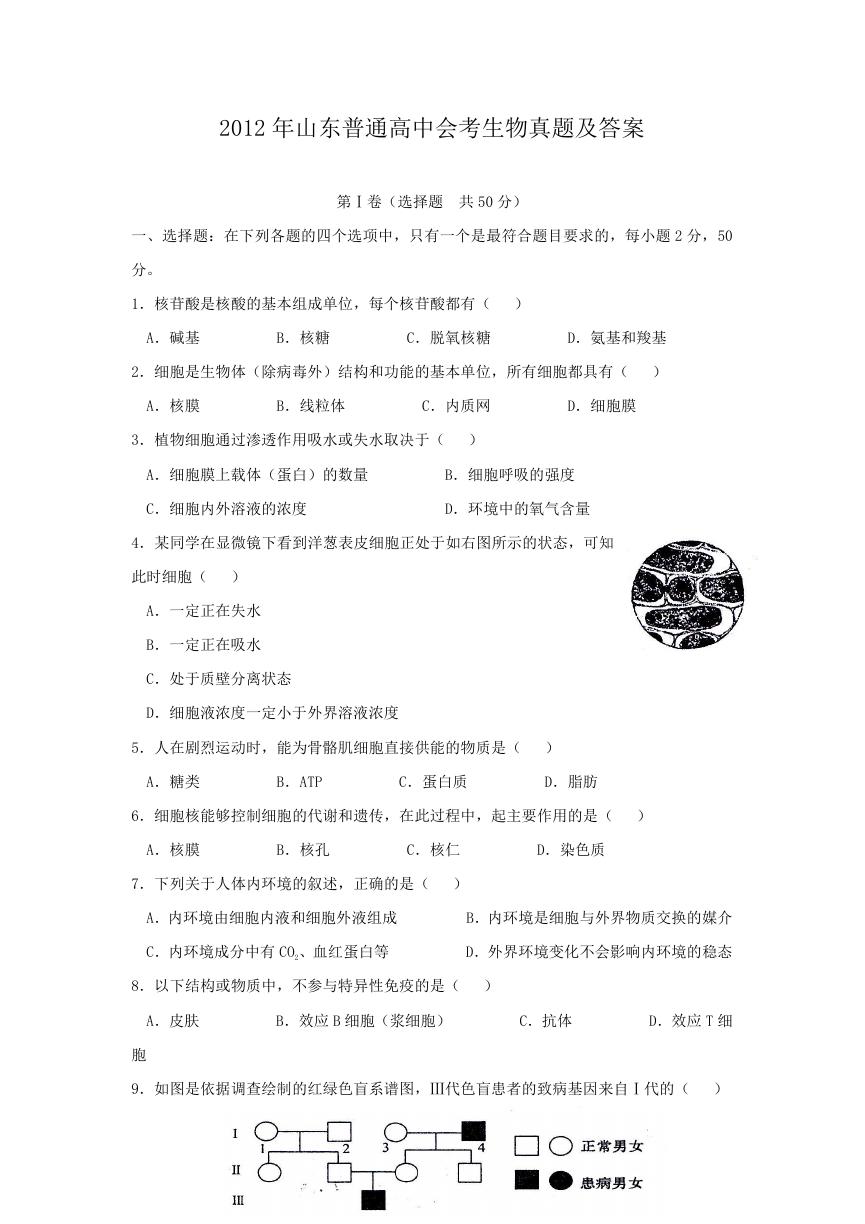 2012年山东普通高中会考生物真题及答案.doc