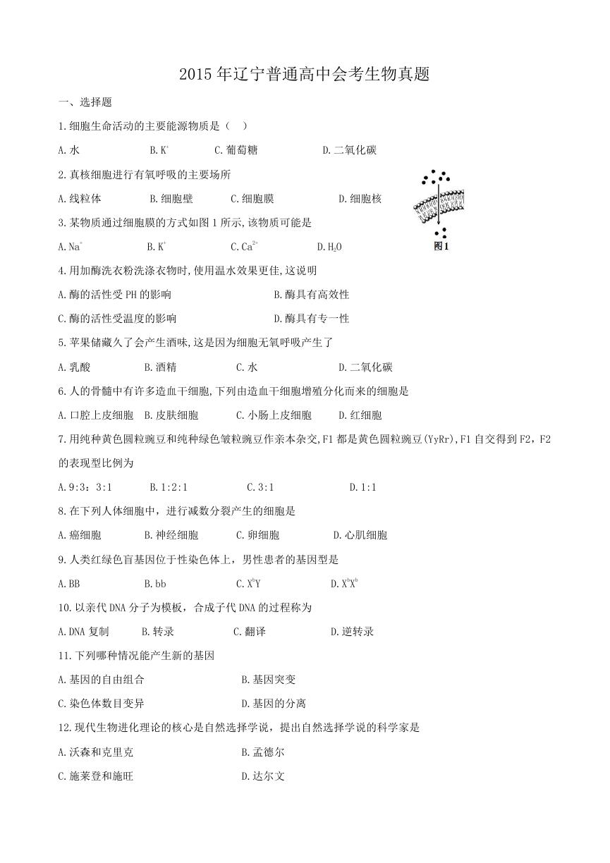 2015年辽宁普通高中会考生物真题.doc