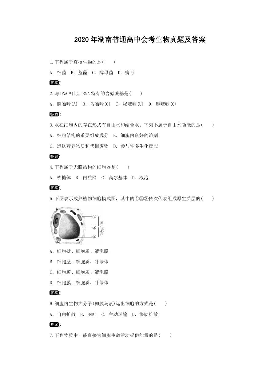 2020年湖南普通高中会考生物真题及答案.doc
