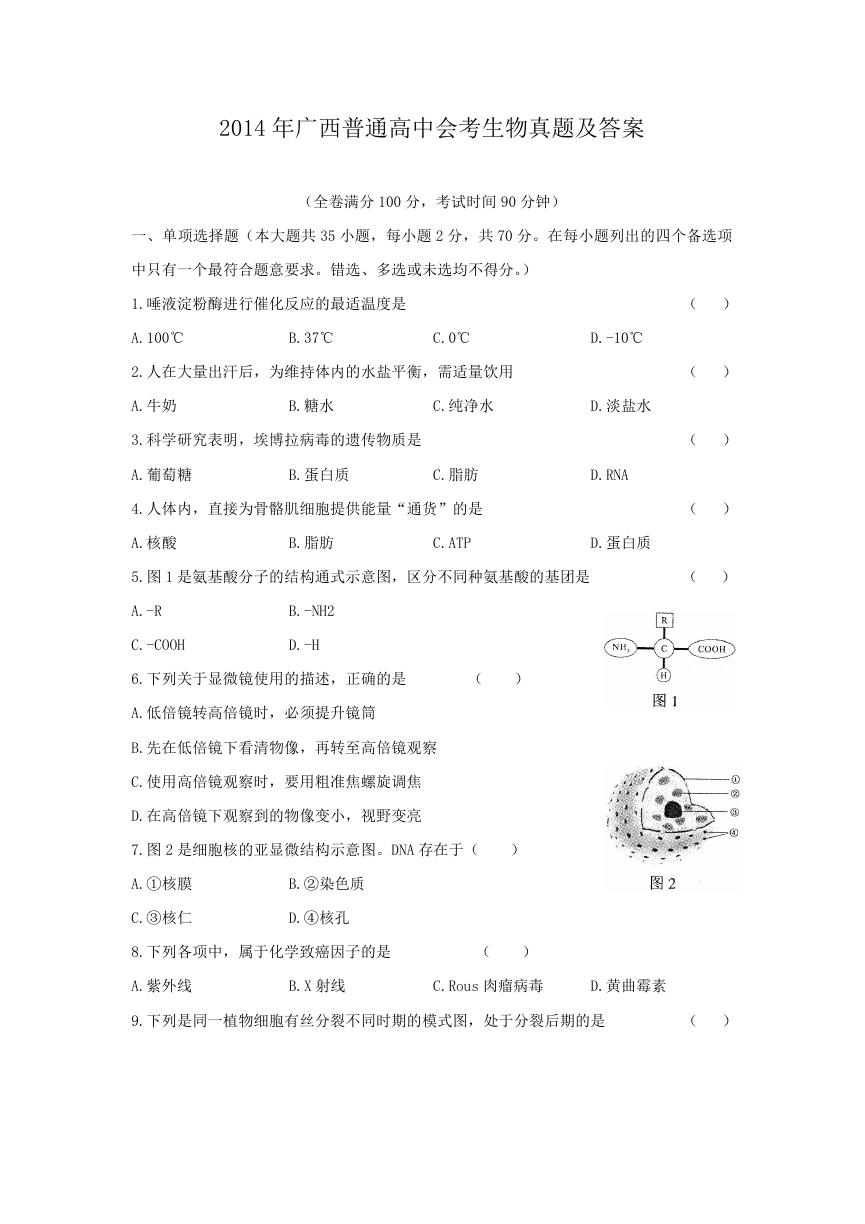 2014年广西普通高中会考生物真题及答案.doc