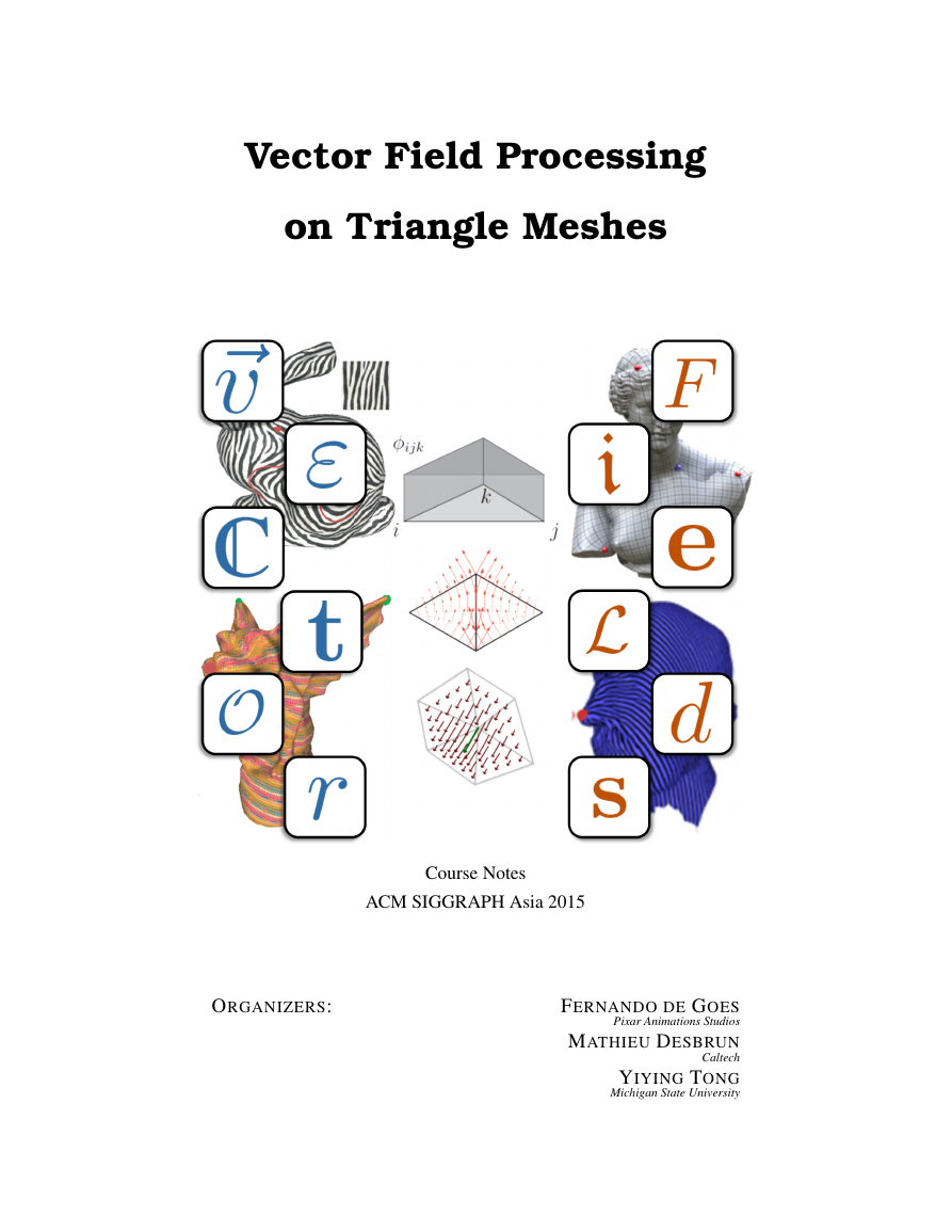 Vector field processing.pdf