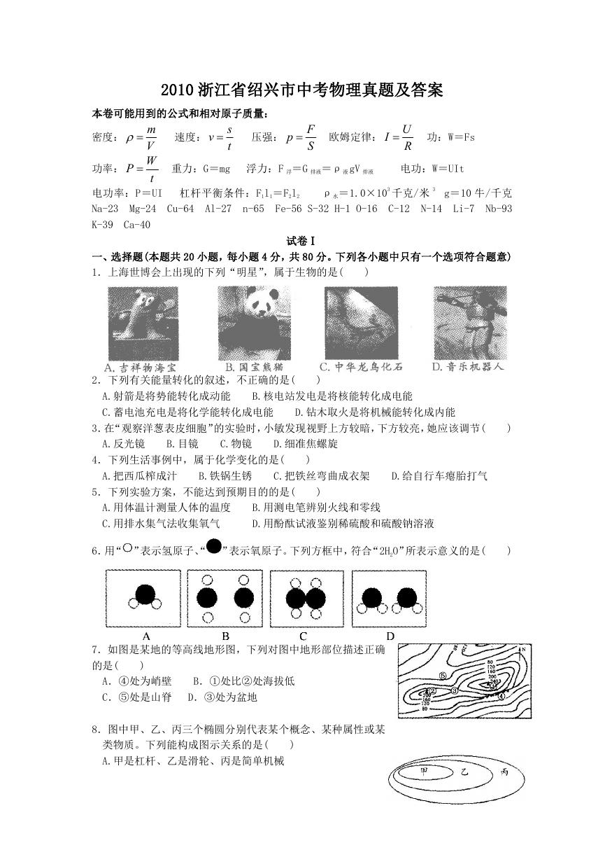 2010浙江省绍兴市中考物理真题及答案.doc