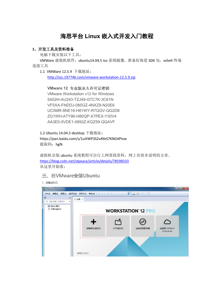 海思平台Linux嵌入式开发入门教程.doc