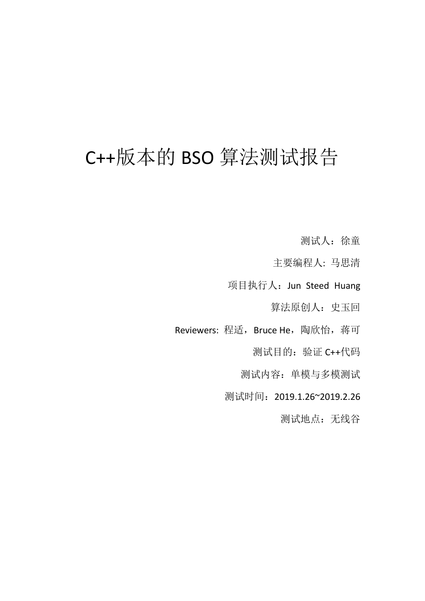 C++版本的BSO算法测试报告.docx