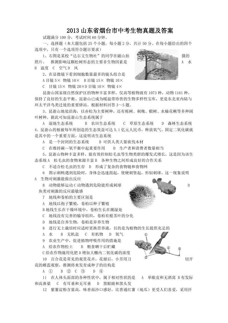 2013山东省烟台市中考生物真题及答案.doc