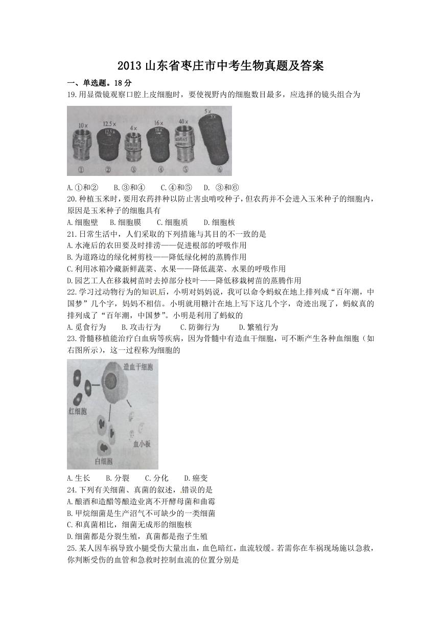 2013山东省枣庄市中考生物真题及答案.doc