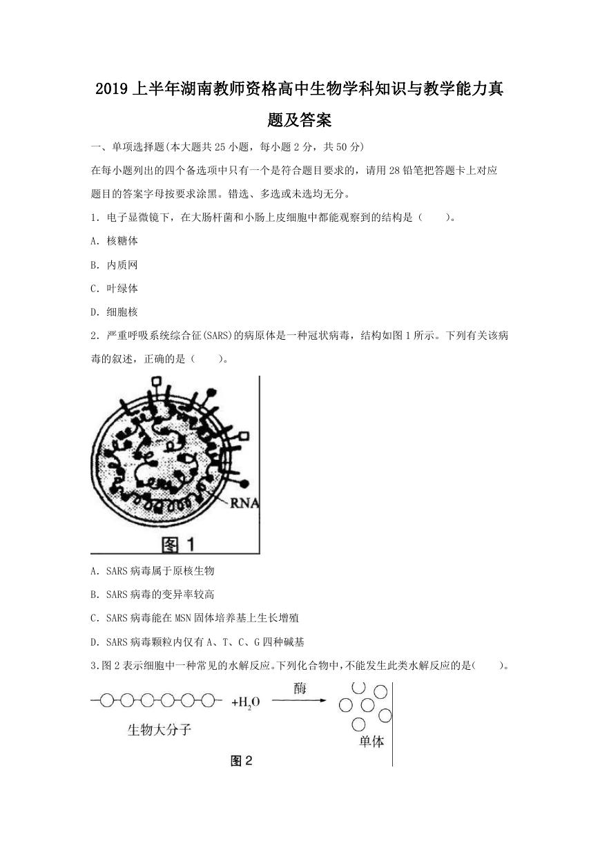 2019上半年湖南教师资格高中生物学科知识与教学能力真题及答案.doc