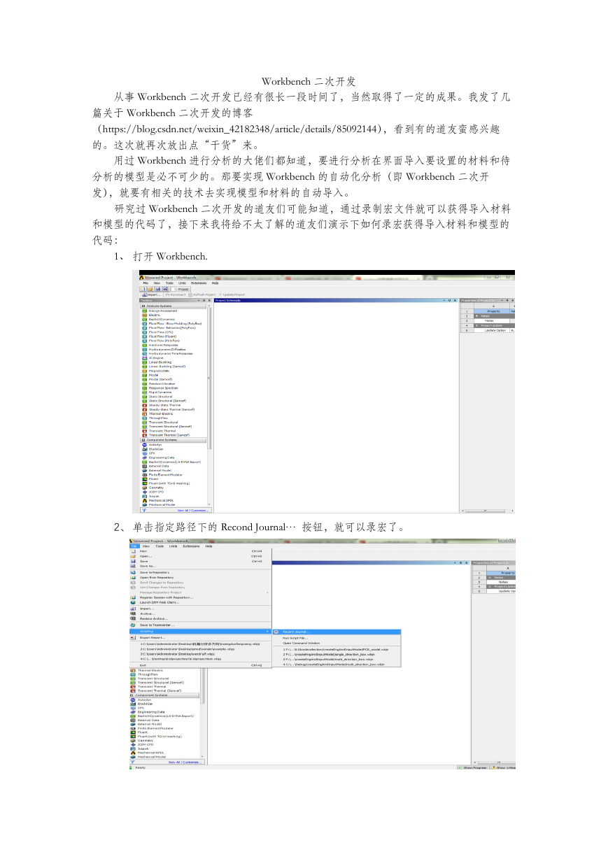 玩转workbench二次开发.pdf