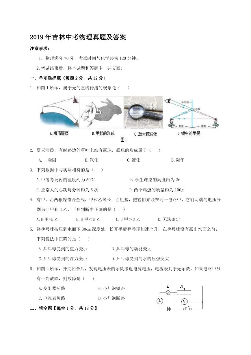 2019年吉林中考物理真题及答案.doc