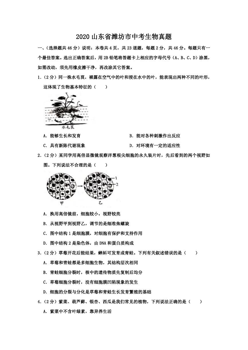 2020山东省潍坊市中考生物真题.doc